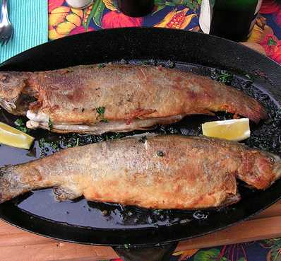 Gebakken forel met aardappels en sla